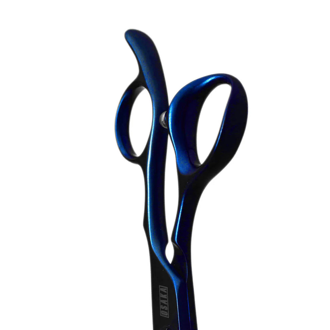 CISEAUX DE COUPE DROITIER SANAGI BLEU 25 T 2